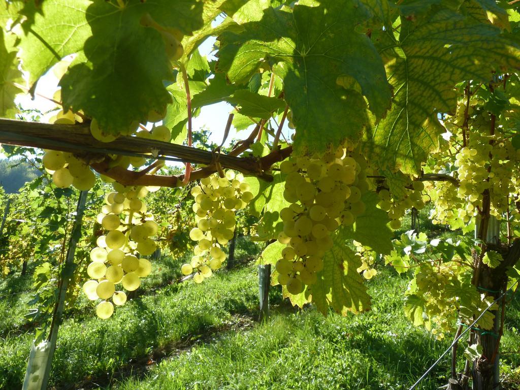 Weingut- Gaestezimmer Marko Лейтшах Екстериор снимка