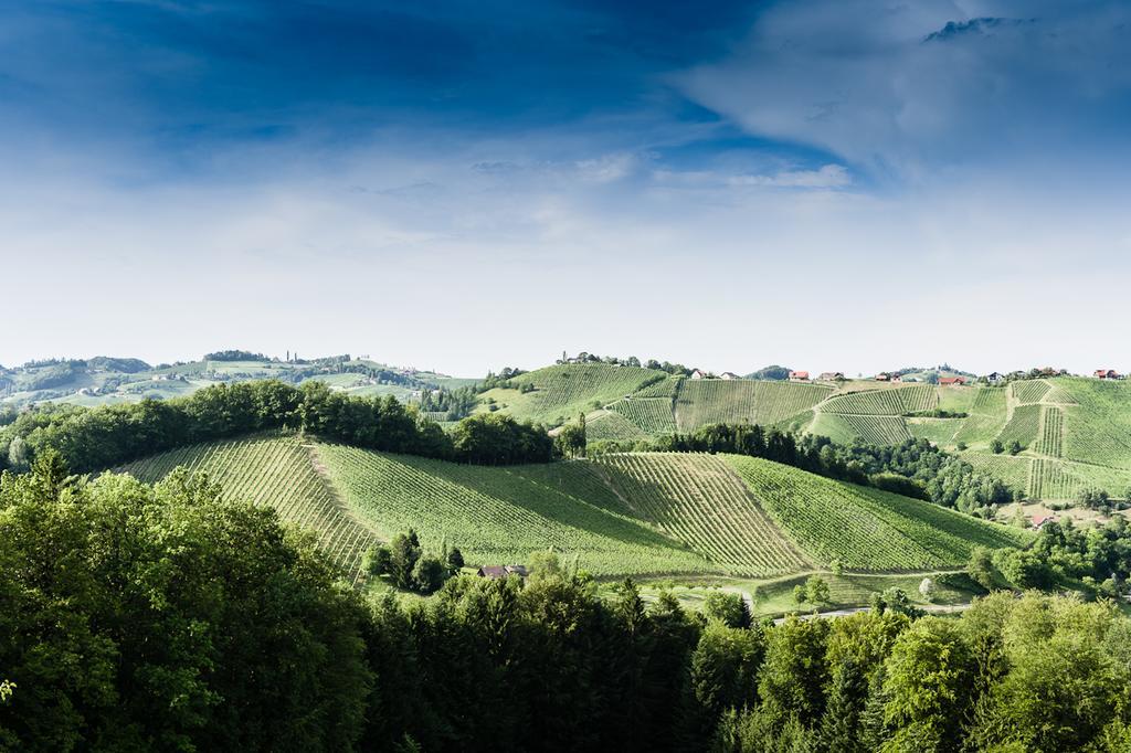 Weingut- Gaestezimmer Marko Лейтшах Екстериор снимка