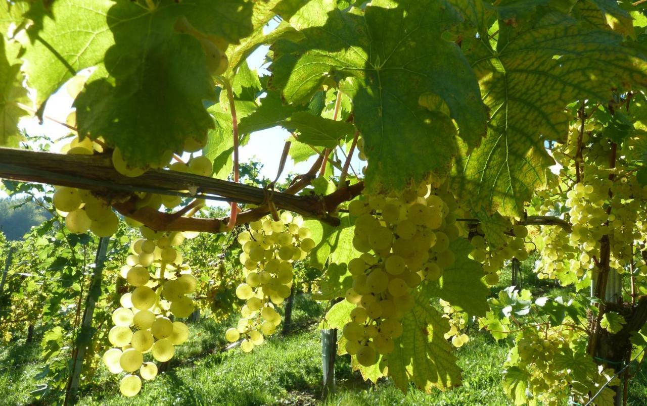 Weingut- Gaestezimmer Marko Лейтшах Екстериор снимка