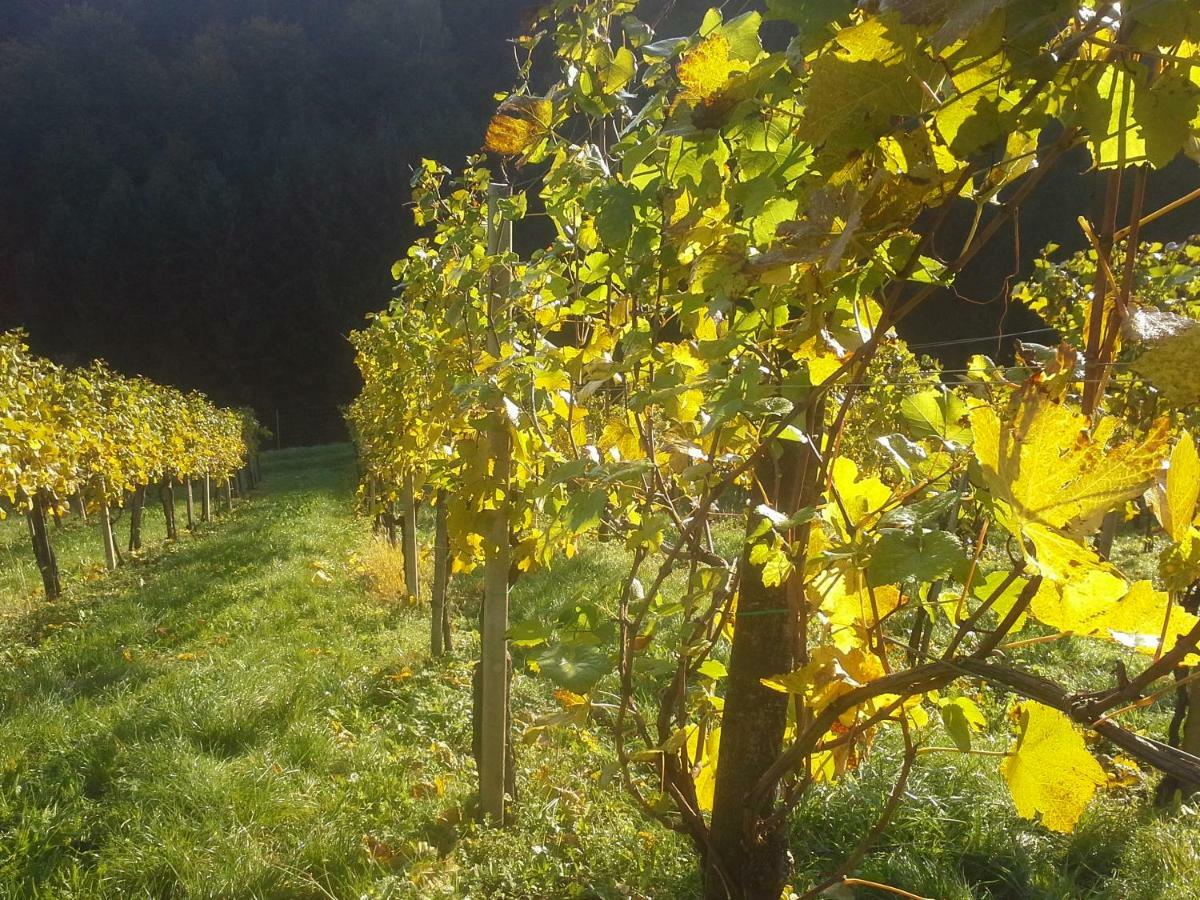 Weingut- Gaestezimmer Marko Лейтшах Екстериор снимка